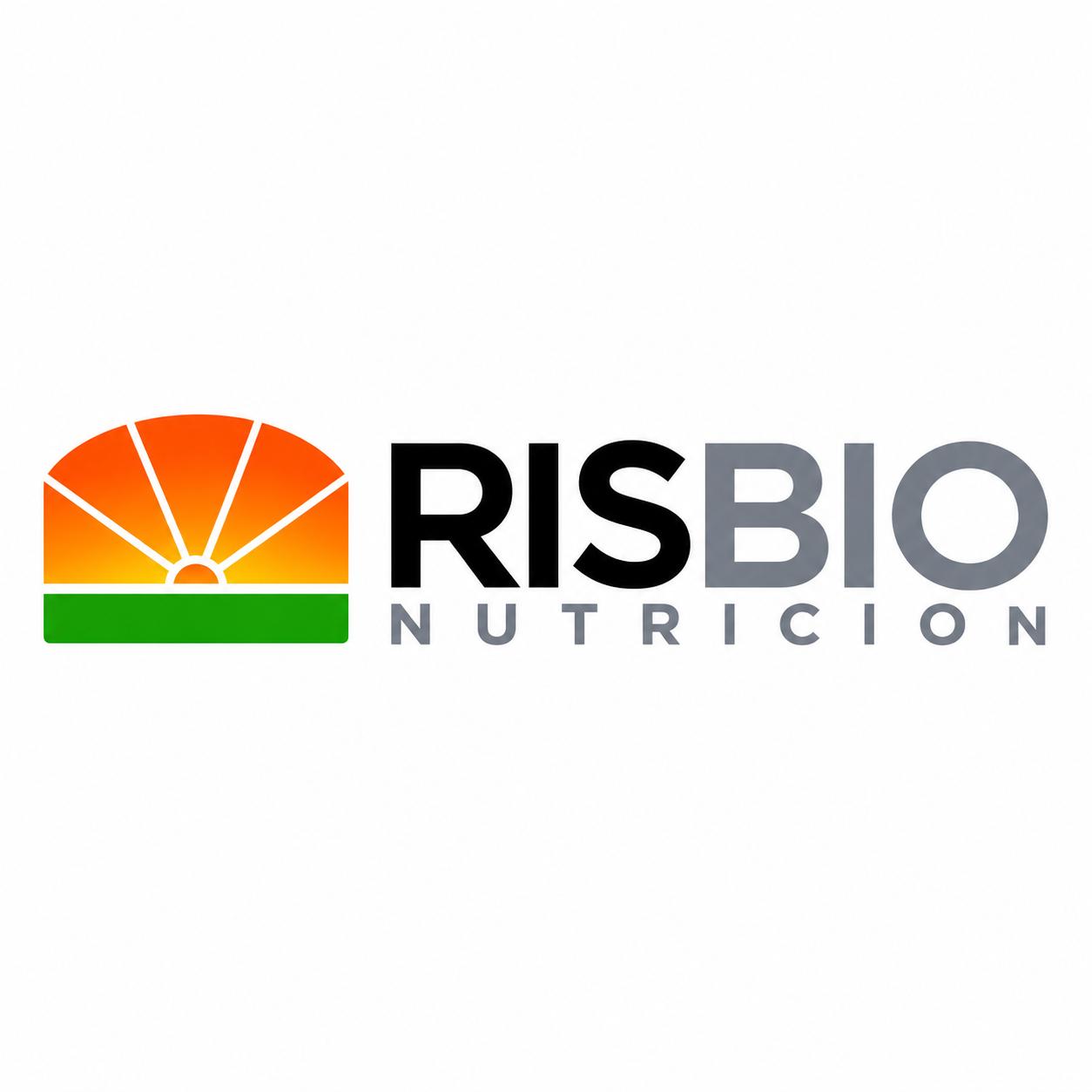 RIS