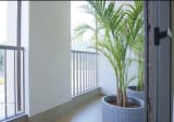 3 BHK Independent House with Garden for Sale in Dera Bassi 4