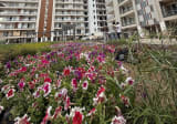 2 BHK Apartment for Sale in Zirakpur Near Chandigarh 5