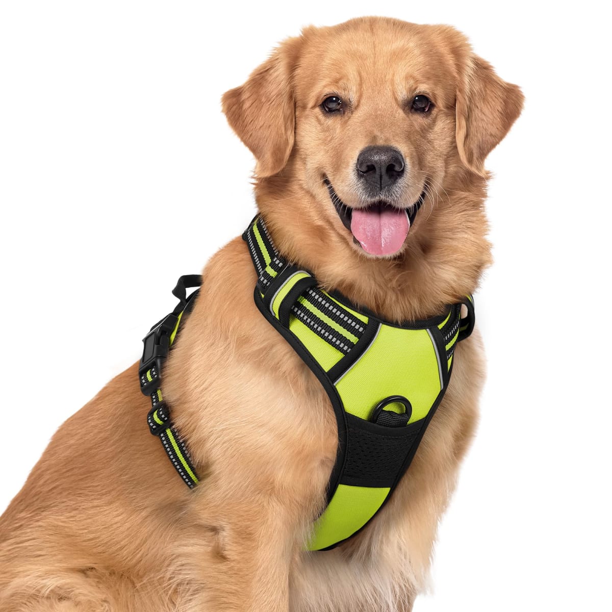 rabbitgoo Dog Harness, No-Pull Pet Harness with 2 Leash Clips, Adjustable Soft Padded Dog Vest, Reflective No-Choke Pet Oxford Vest with Easy Control Handle for Large Dogs, Wild Lime, XL