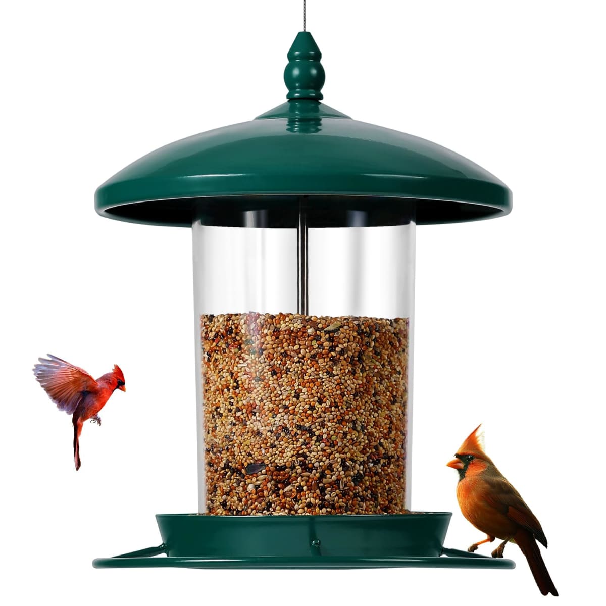 Youvip - New - Open Box | Bird Supplies