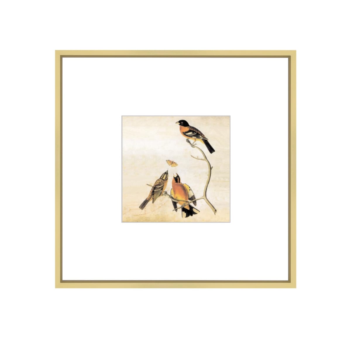 BKABOT 8x8 Picture Frame, Brass Metal Square Photo Frames with HD Glass, Fits 5x5 with Mat or 8 x 8 without Mat, Display for Wall and Table, 1 Pack