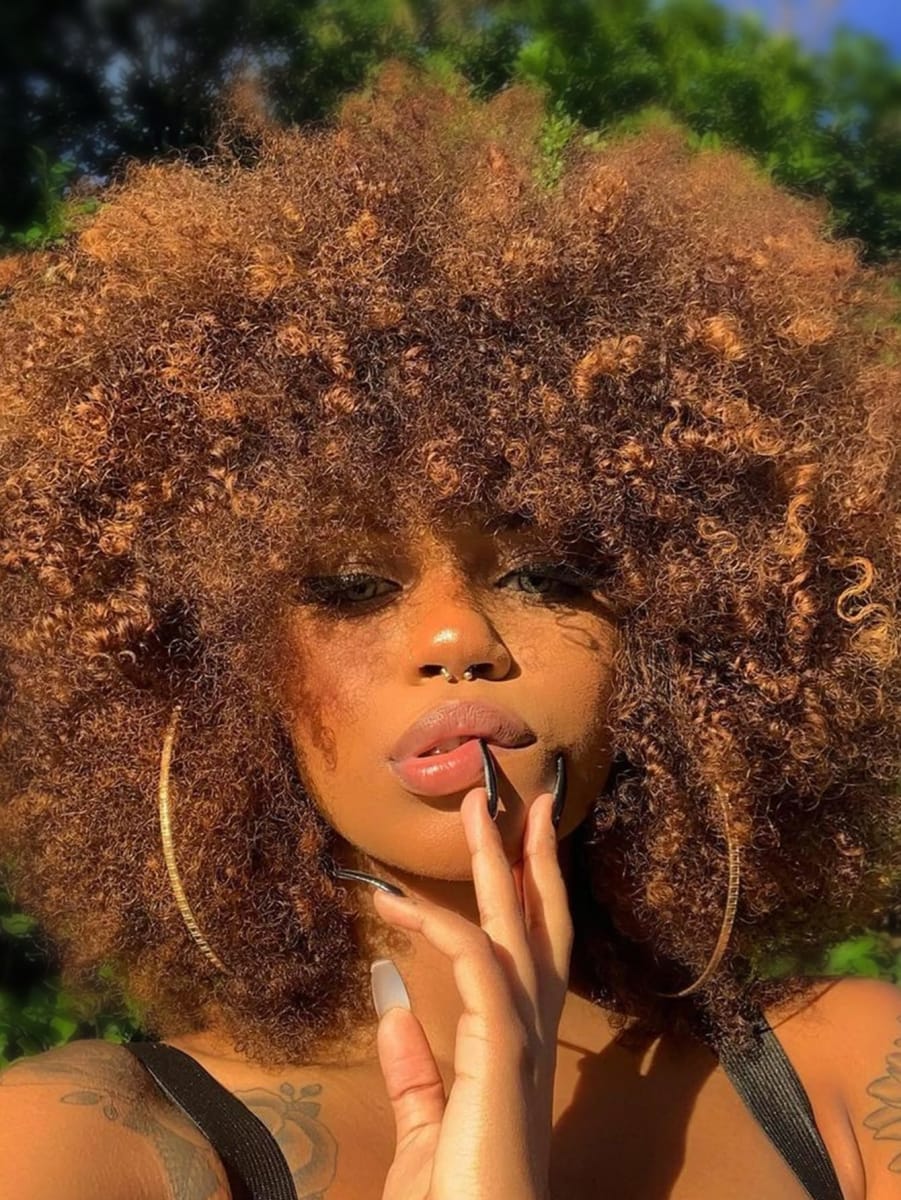 GKtineke Afro Wig 14Inch Afro Wigs for Black Women 70s Afro Kinky Curly Wig Bouncy Huge Fluffy Puff Wigs Synthetic Hair for Cosplay Daily and Party (Mixed Brown, 14 Inch)