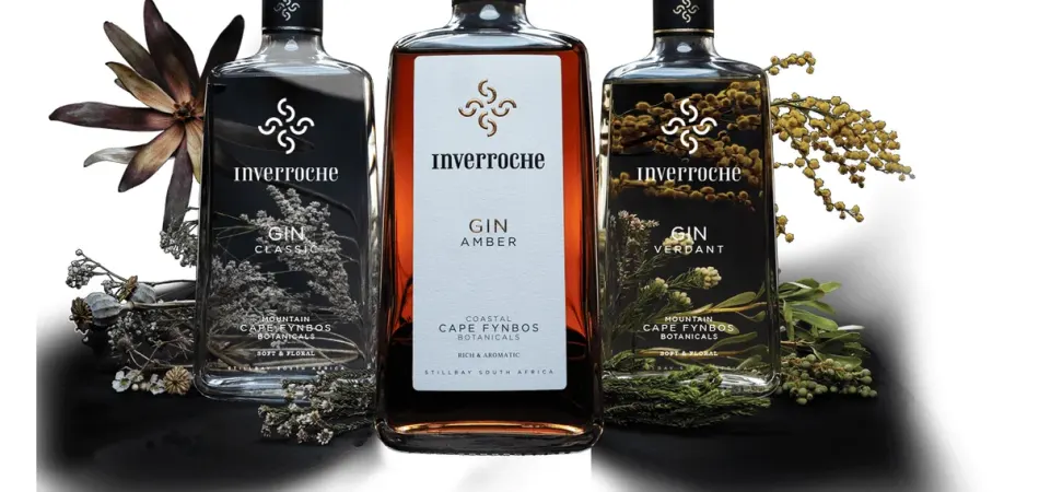 Most Expensive Gin in Kenya - null