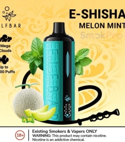 Melon Mint E-Shisha