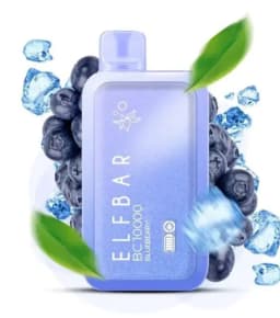 Elf Bar Blueberry BC10000