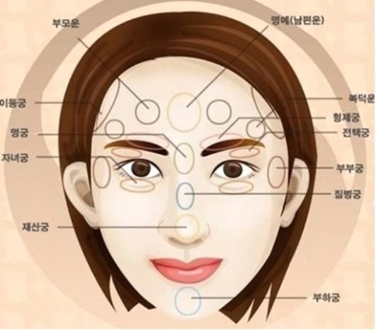 여성 관상 얼굴 부위별 궁 위치와 운세 해석 일러스트 이미지
