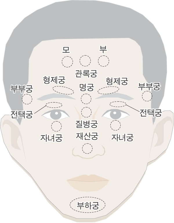 남성 관상 궁 위치별 해석, 얼굴 부위로 보는 인생 운세 도식