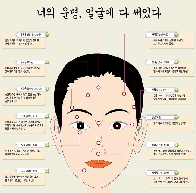 얼굴 부위별 관상 운명 해석 인포그래픽 이미지, 이마·코·입 등 부위별 특징 설명