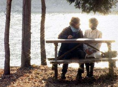 2002년 드라마 겨울연가 촬영지 남이섬, 배용준과 최지우가 벤치에 앉아있는 명장면, 한류 열풍을 일으킨 로케이션