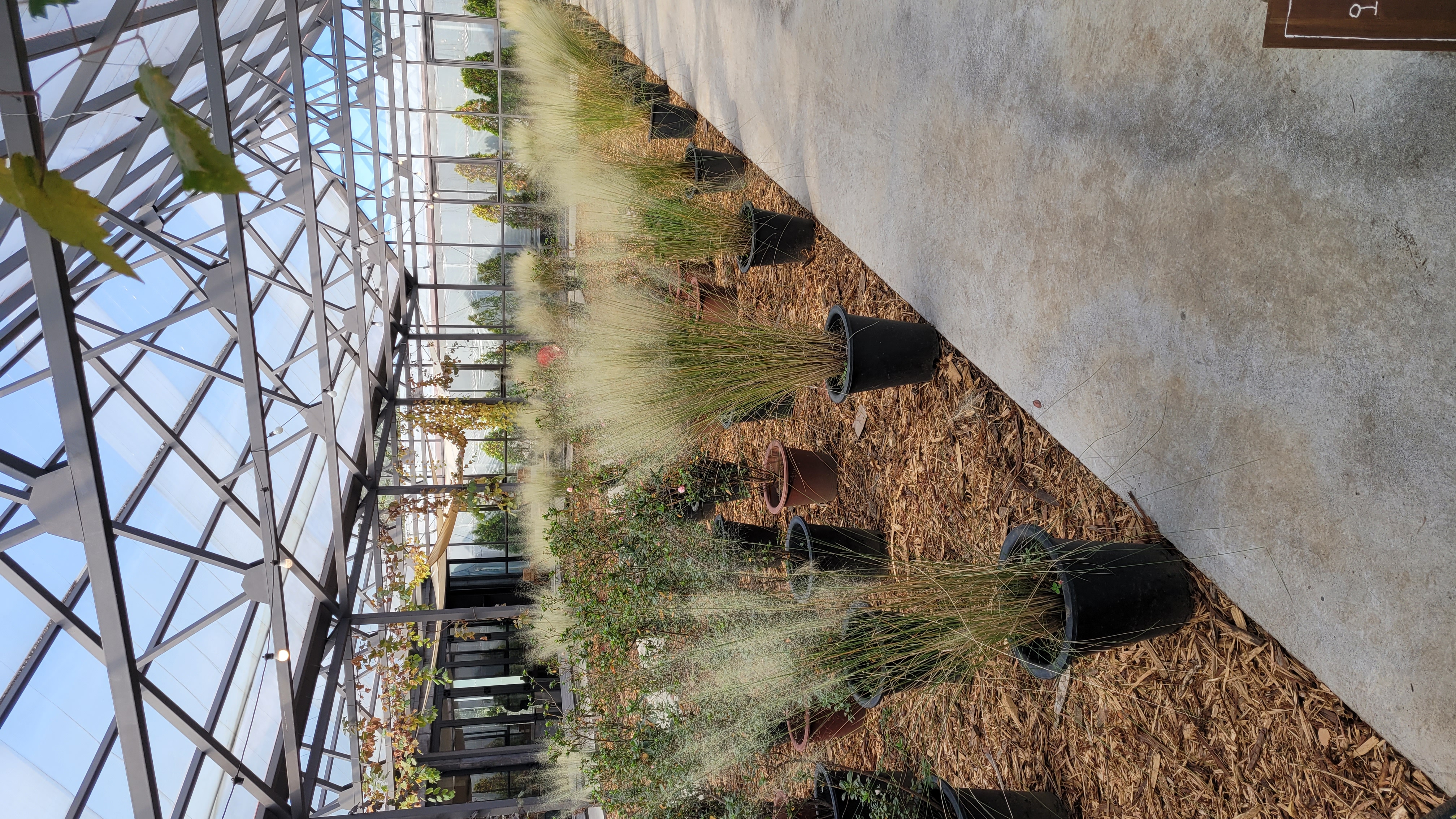 제주 보롬왓 실내 정원 온실, 다양한 식물과 허브가 전시된 유리온실 산책로 풍경