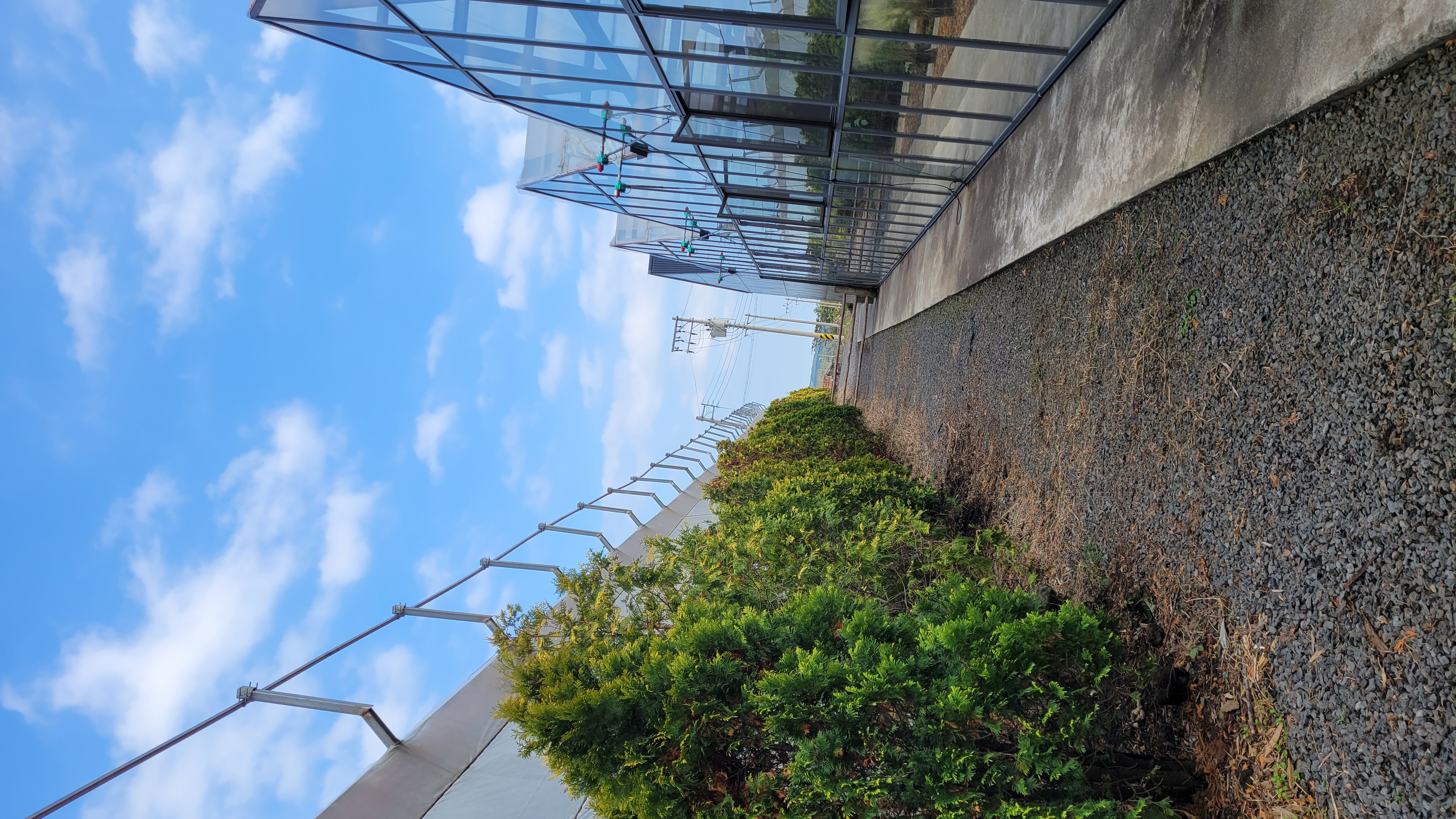 제주 보롬왓 야외 정원 산책로, 유리 온실 건물 옆으로 이어지는 자갈길과 녹색 나무가 조화를 이룬 풍경