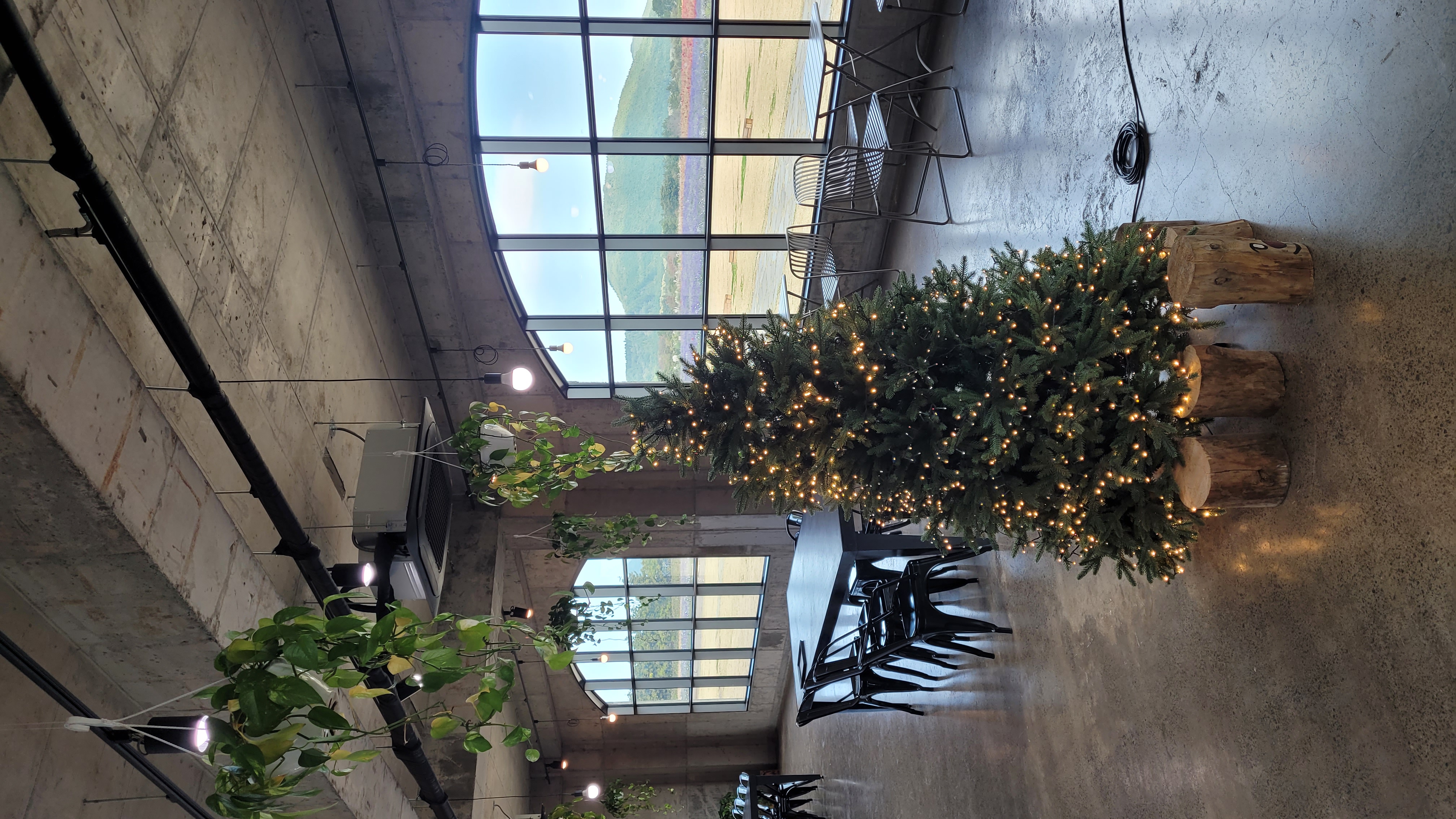 제주 보롬왓 카페 홀 내부, 크리스마스 트리와 큰 창문으로 보이는 꽃밭 전망이 있는 인더스트리얼 공간