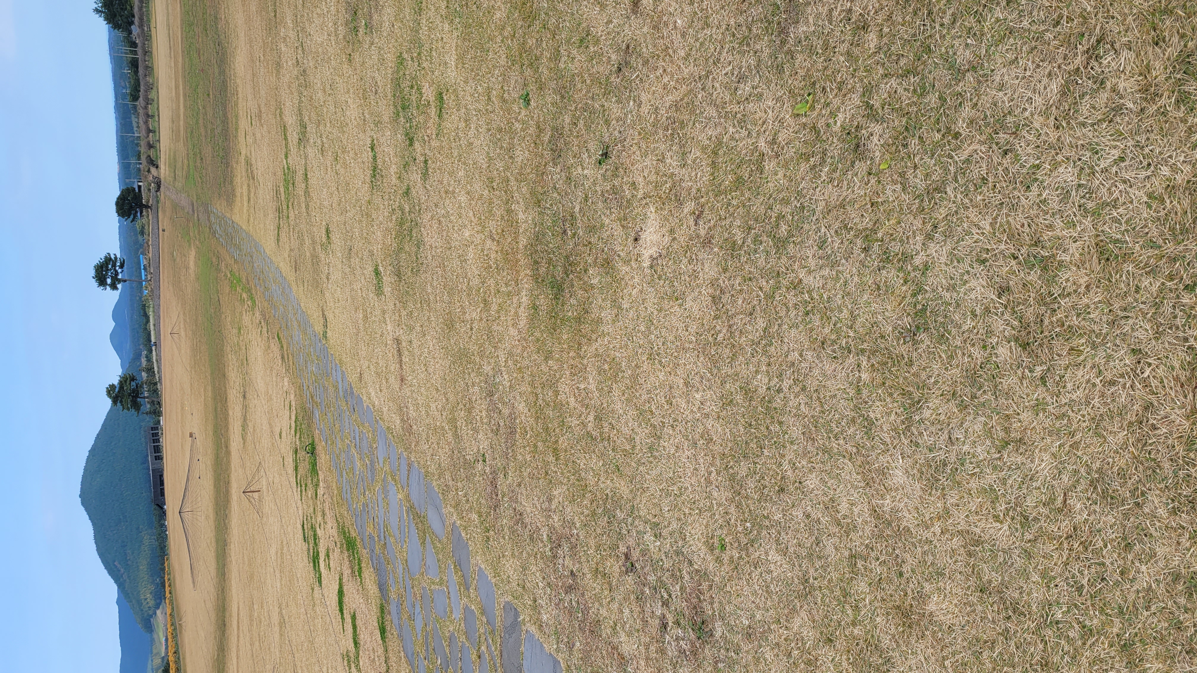 제주 보롬왓의 넓은 들판 산책로, 제주 오름이 배경으로 펼쳐진 광활한 야외 정원 풍경