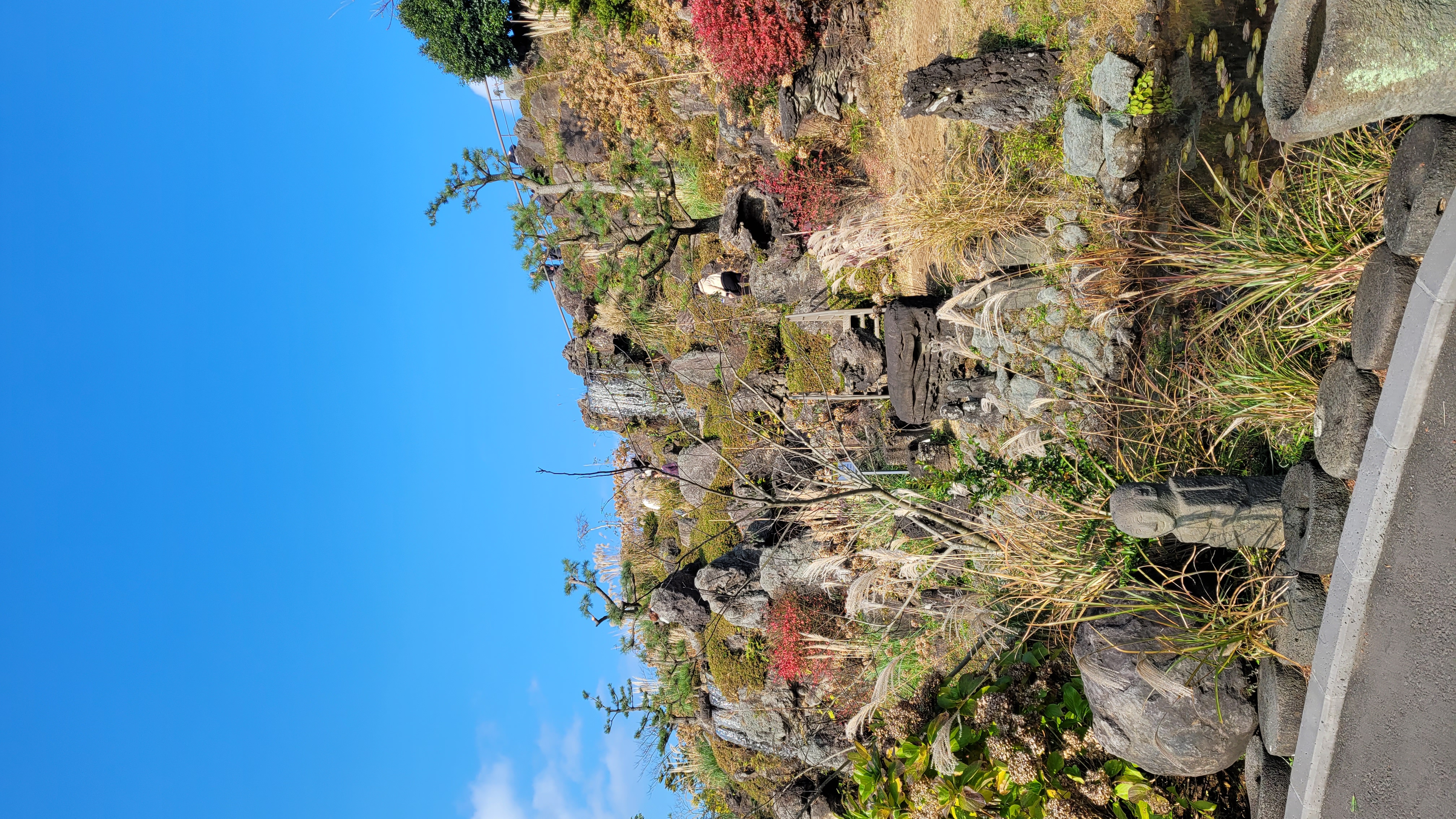 제주 동화마을 화산석 정원 - 수십만 년 전 형성된 제주 화산석과 연못, 전통 석물이 어우러진 주상절리 특수목정원