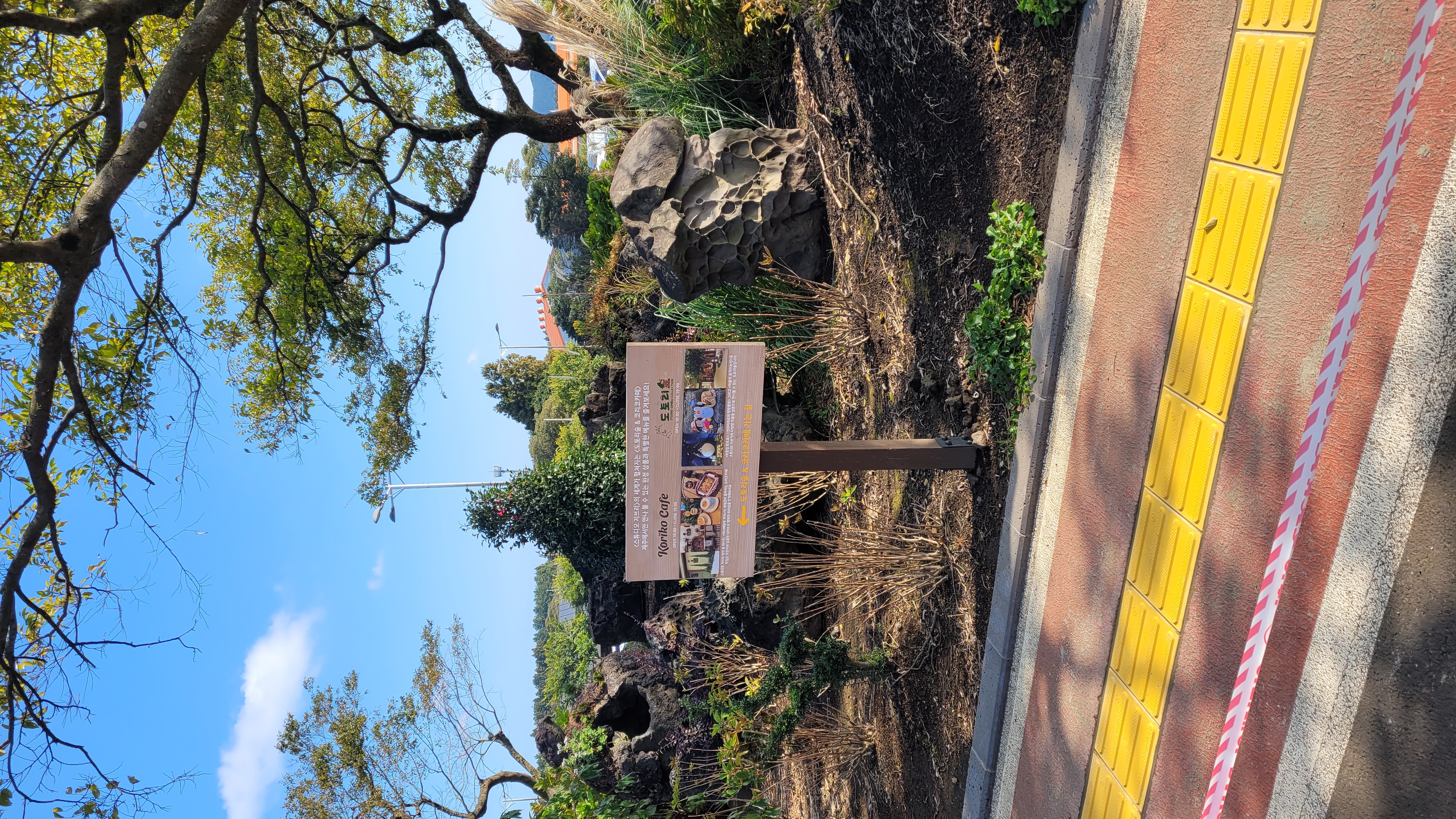 제주 동화마을 코리코카페 안내판 - 지브리 공식 마녀배달부 키키 카페 방향 표지판과 제주 전통 고목이 있는 산책로