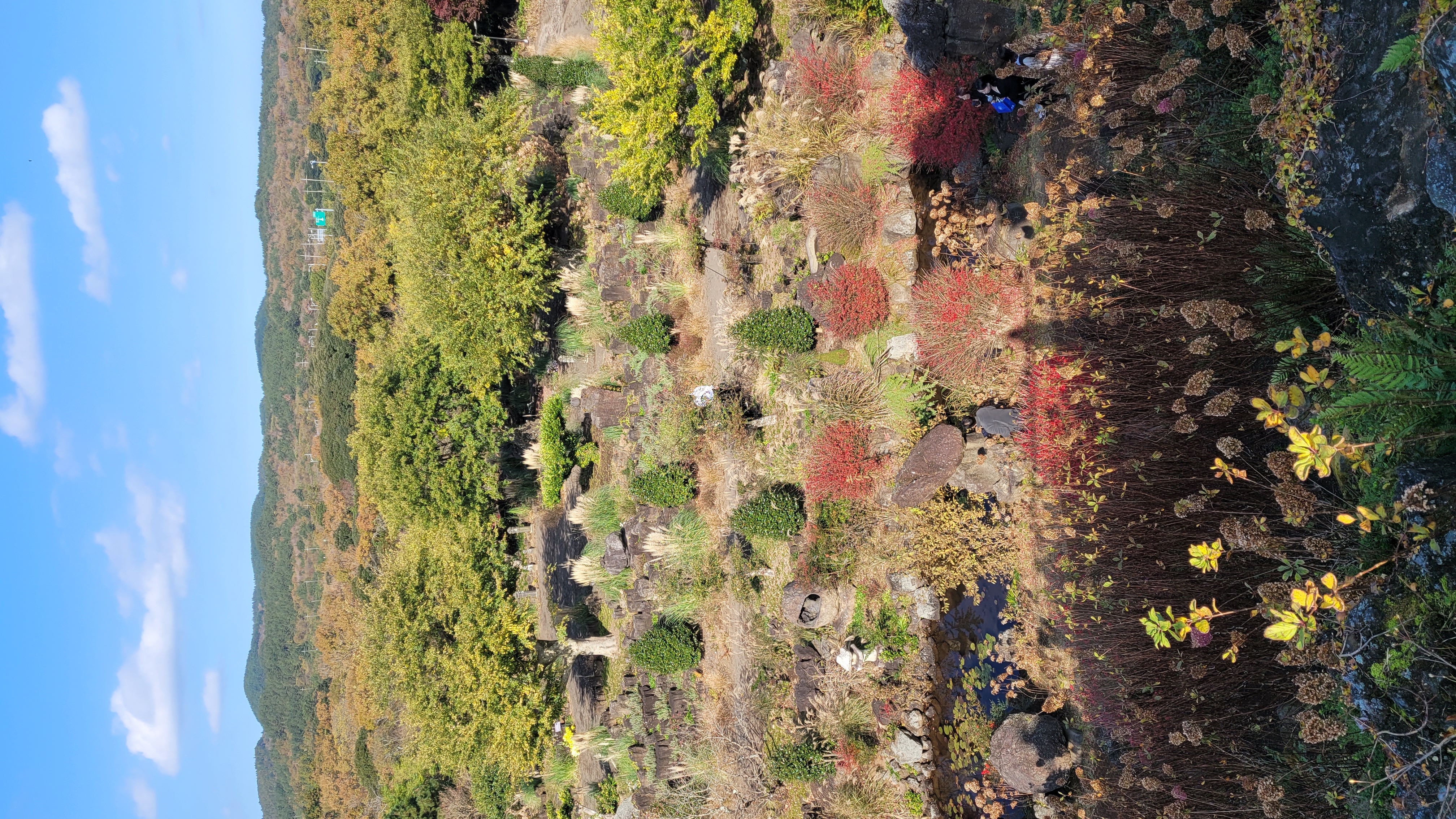 제주 동화마을 정원 전경 - 제주 동부 오름군락 능선과 가을 단풍이 물든 3만 평 규모 정원의 파노라마 뷰