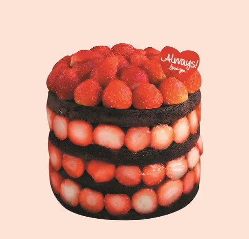 성심당 딸기시루 케이크 2025년 크리스마스 대전 명물 생딸기 초콜릿 시트 가성비 홀케이크