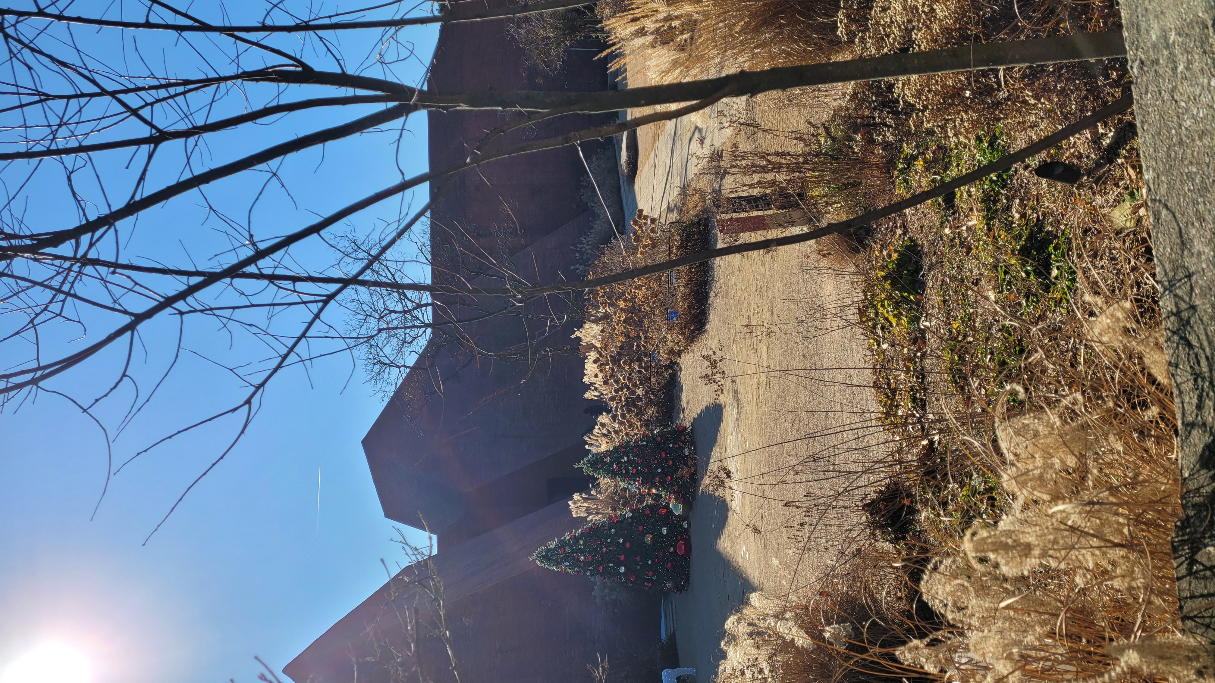 김포 아보고가 카페 피라미드 건축 외관과 겨울 정원 크리스마스 트리 장식