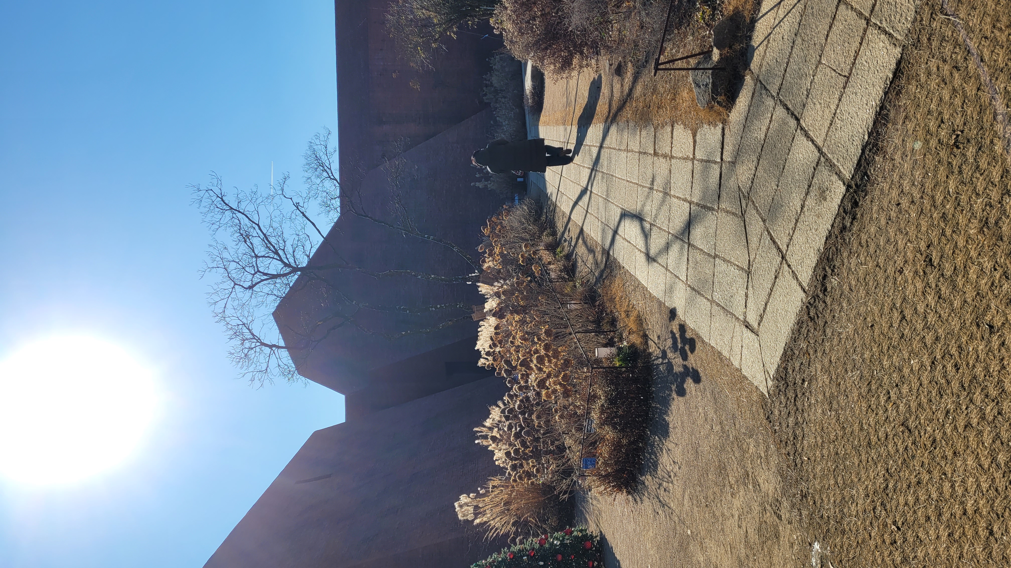 김포 아보고가 카페 겨울 정원 산책로와 피라미드 건축물 전경