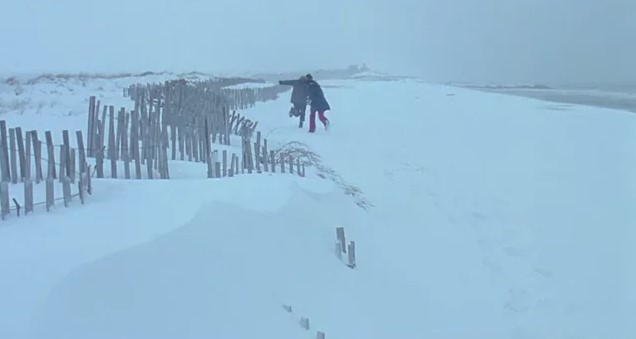 이터널 선샤인 결말 소름 장면 – 눈 덮인 몬탁 해변에서 서로 쯫고 쫓기며 애정어린 장난을 치는 조엘과 클레멘타인, 같은 장면이 3번 반복되며 무한루프를 암시하는 엔딩