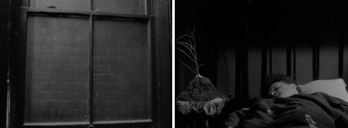 영화 이레이저헤드 해석 - 벽돌로 막힌 창문과 화분 없이 심어진 앙상한 식물 미장센