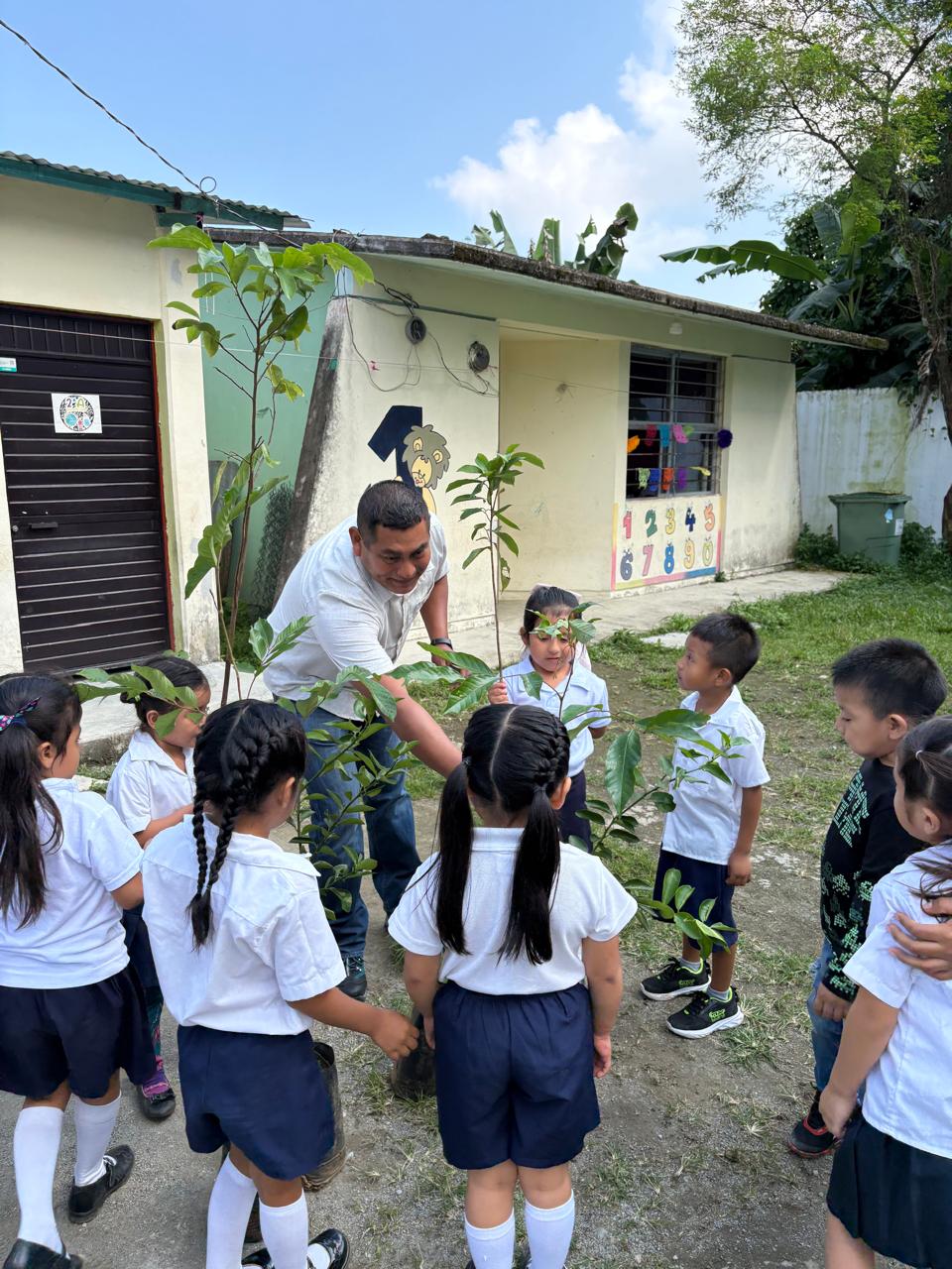 Reforestación en Escuelas