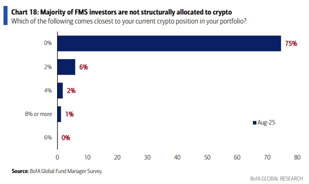 Los Fondos Evitan Cripto A Pesar Del Auge Del Mercado