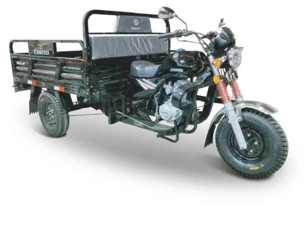 ZMOTO ZMAX PLUS