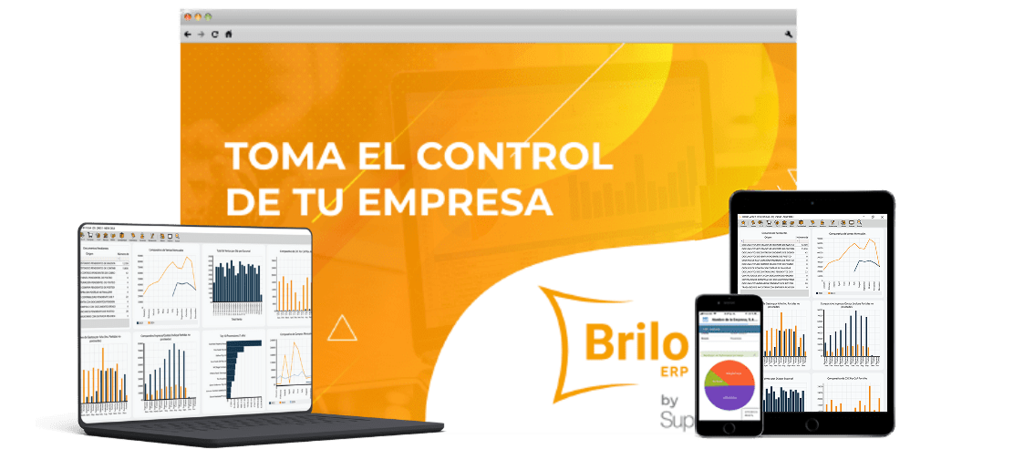 BRILO ERP - El mejor software ERP para empresas en El Salvador