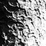 Texture