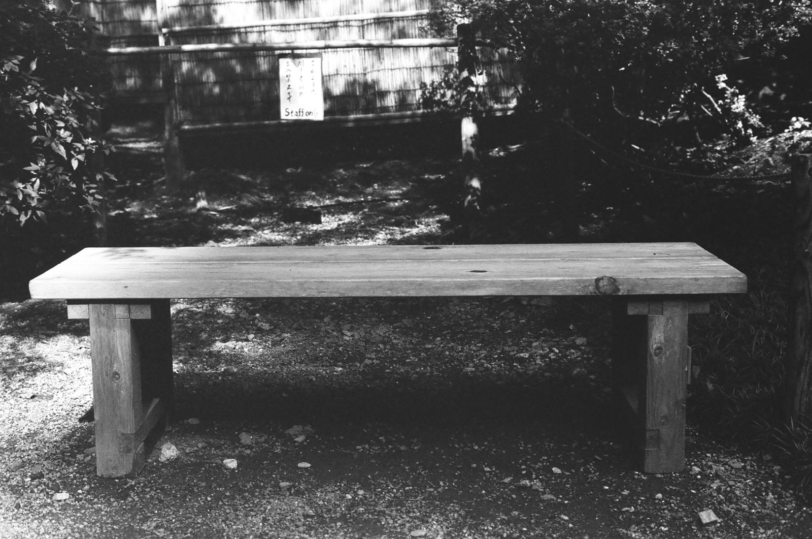 Bench (Japan 2024)
