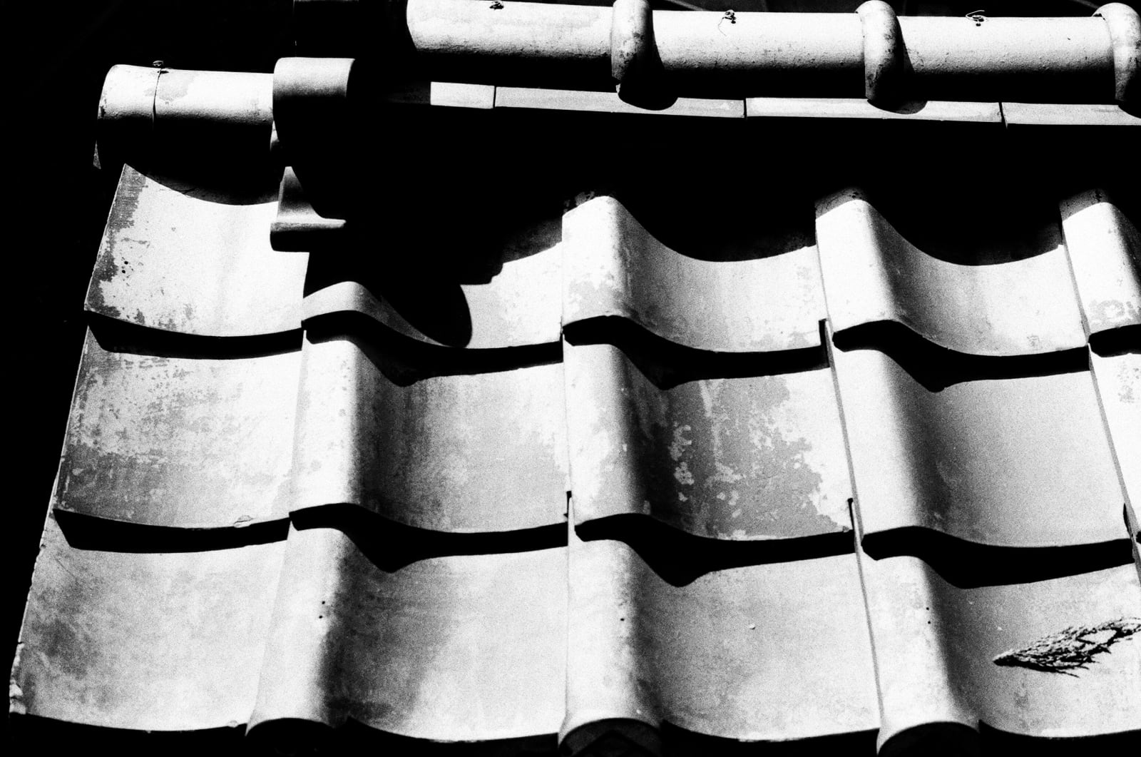 Tile (Japan 2024)