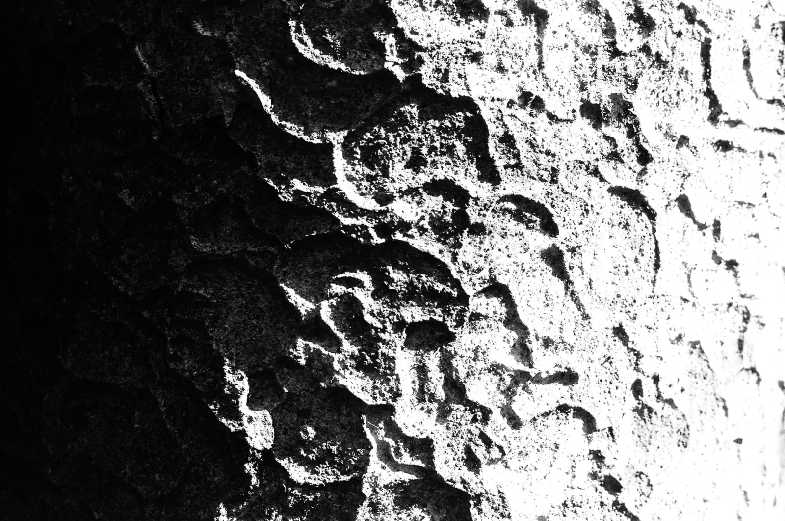 Tree or Moon (Japan 2024)