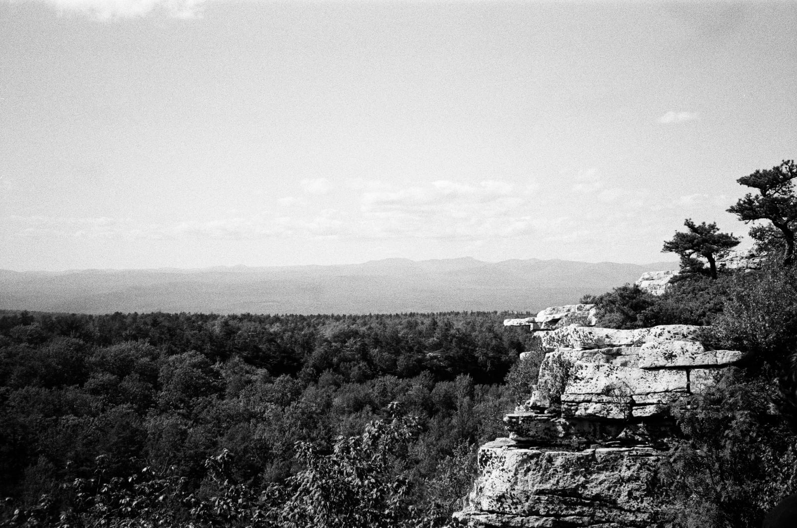 Cliffs (USA 2022)
