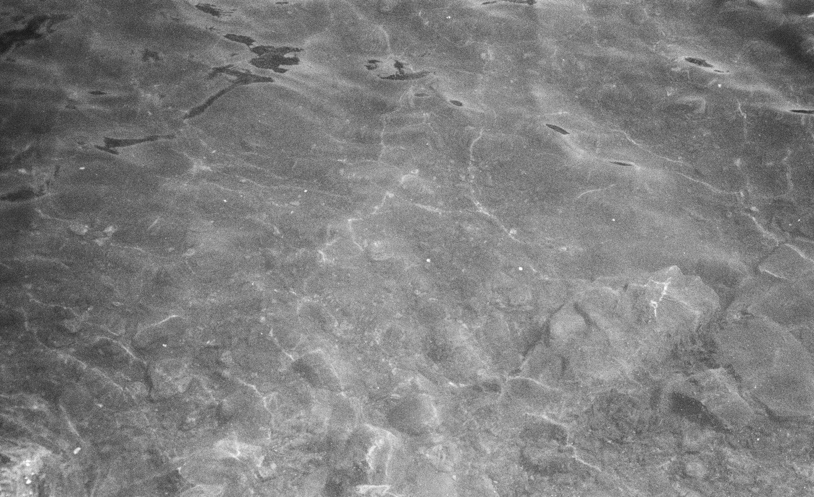 Ripples (USA 2022)