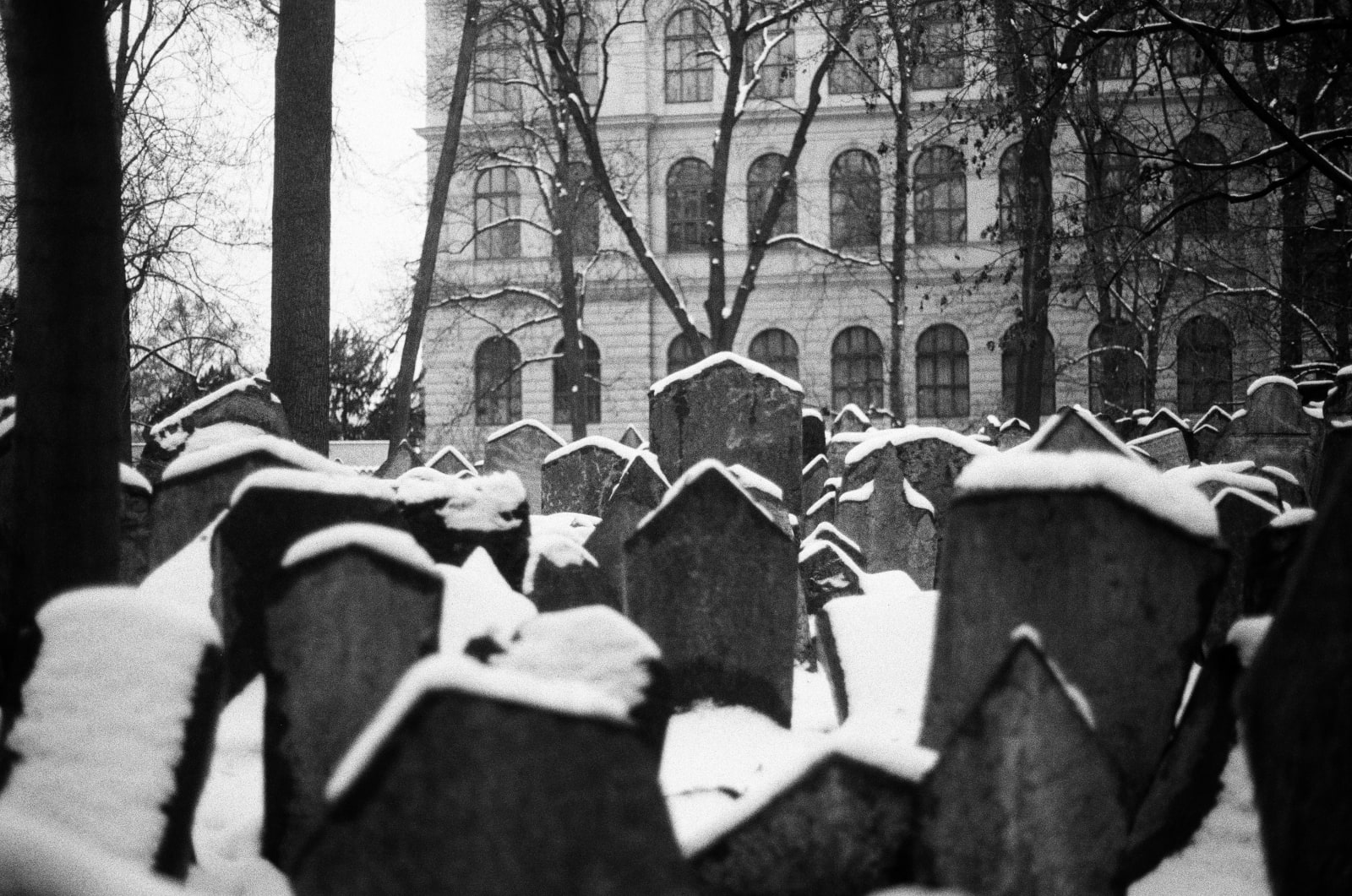 Graves (Czechia 2022)