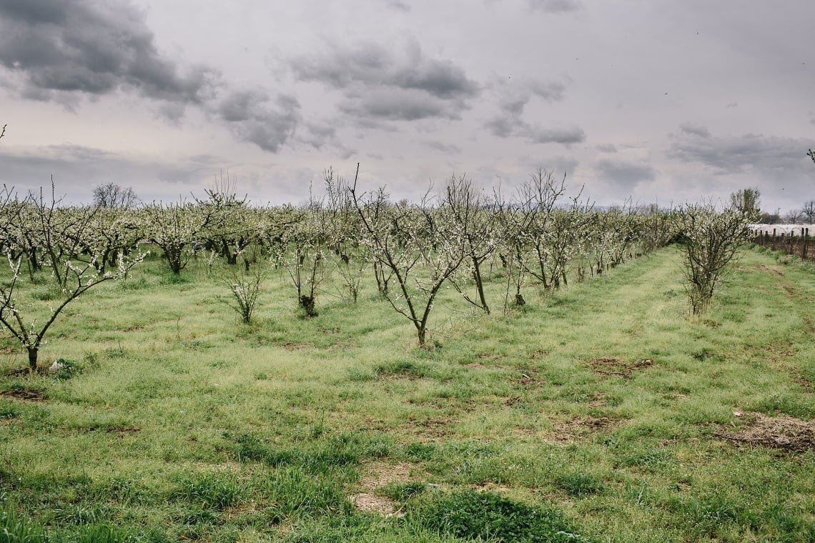 Italy toxic land mafia