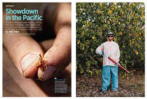 Audubon Magazine