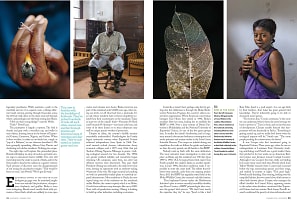 Audubon Magazine