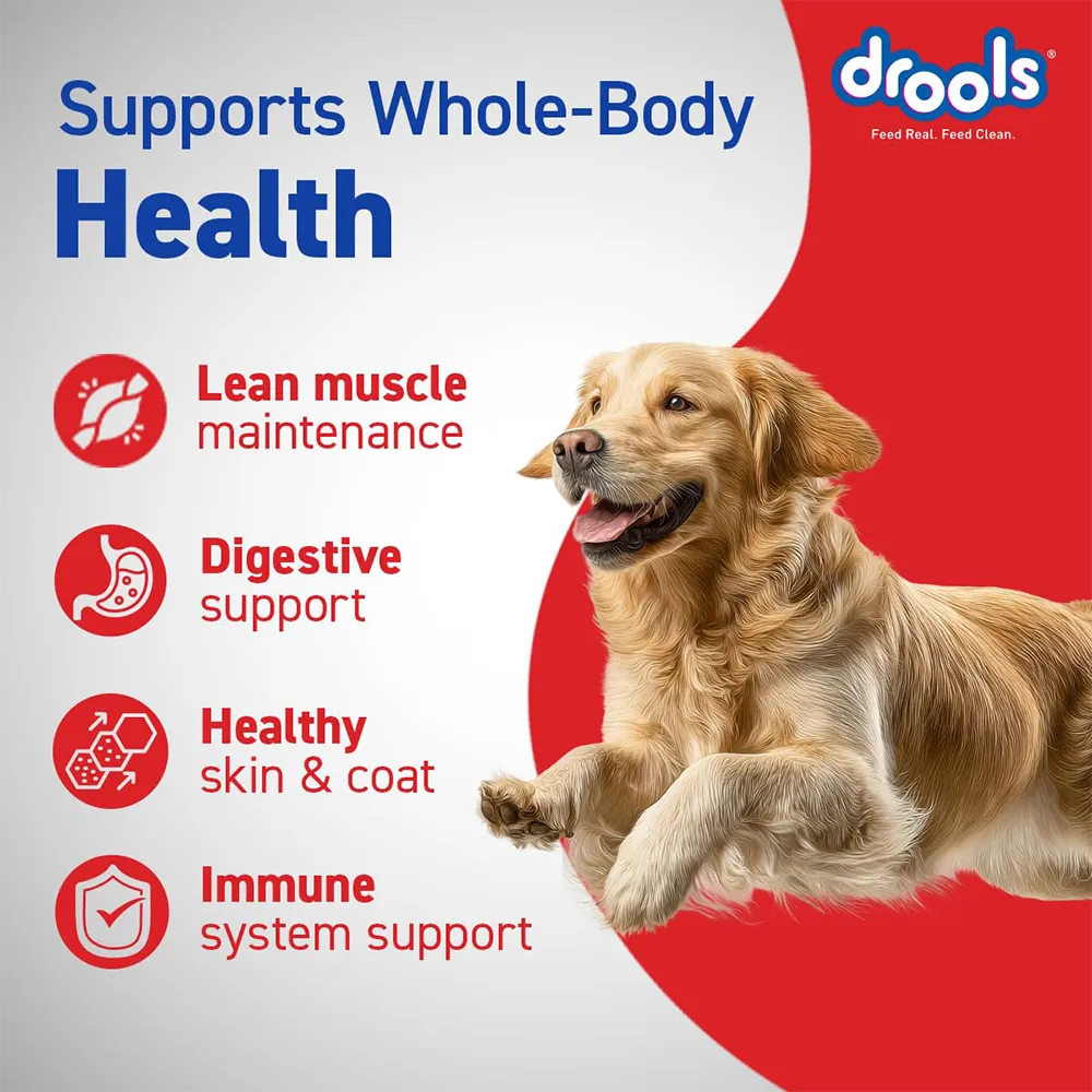 drools-adult-dry-dog-food-nepal-4