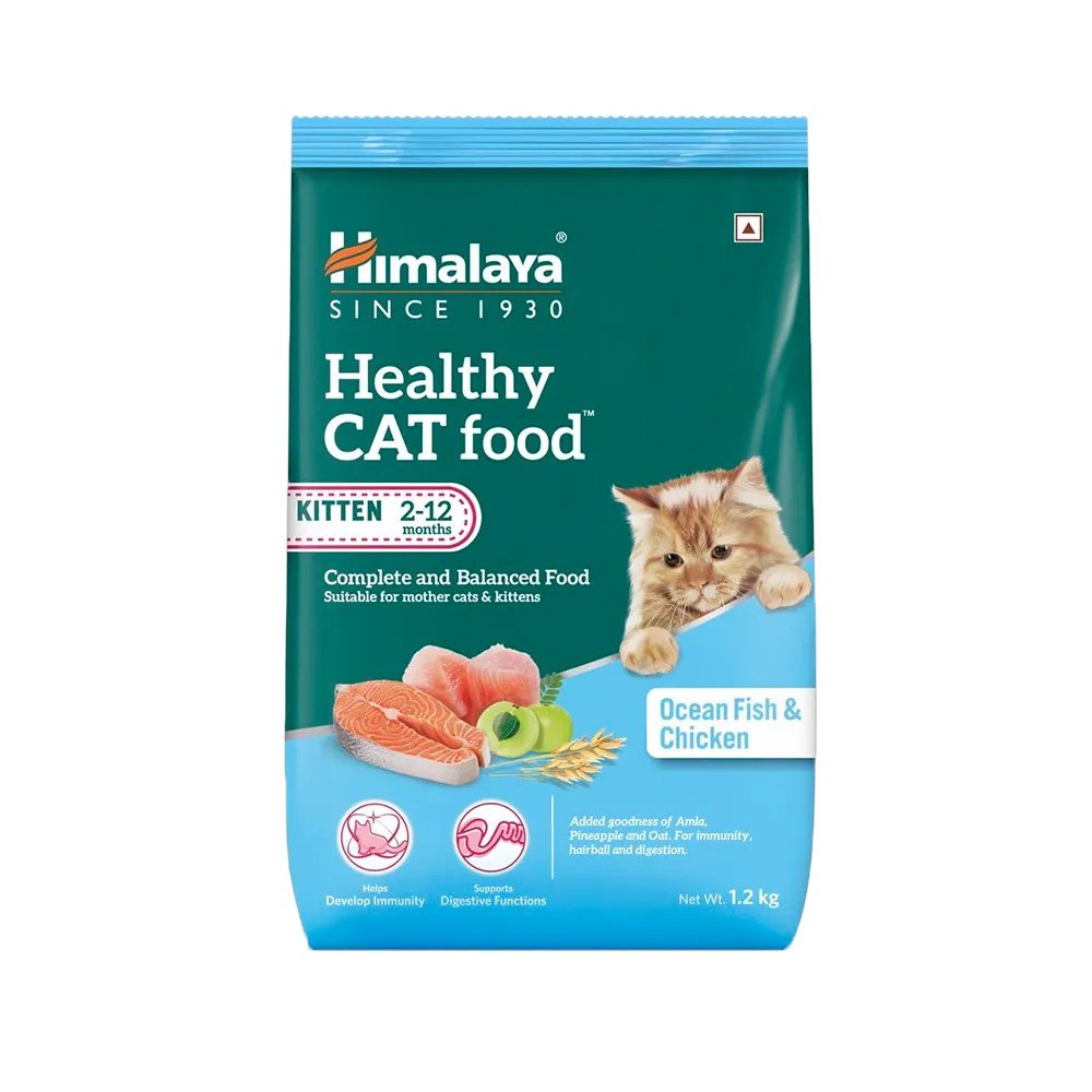 himalaya-cat-kitten-food-price-nepal-1