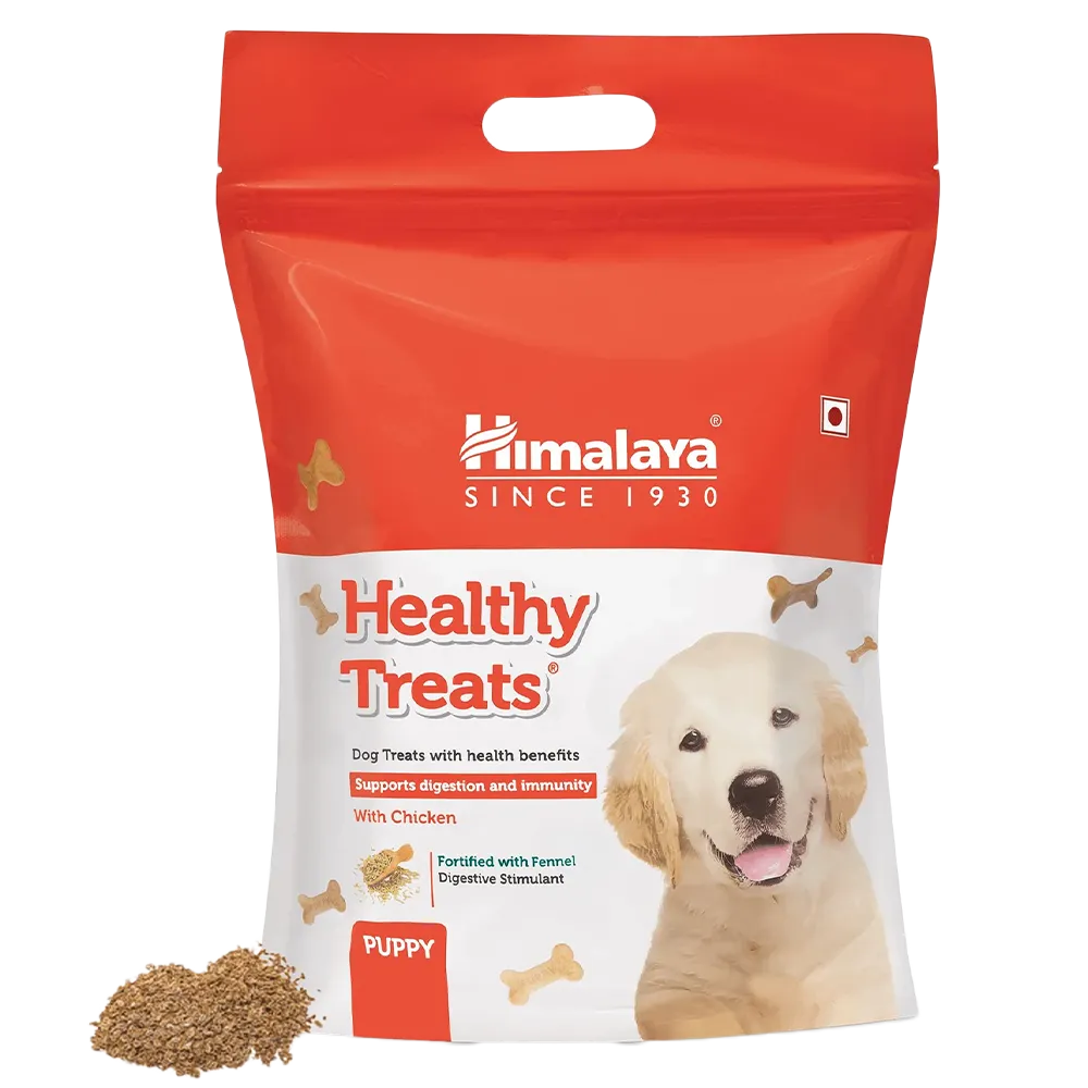 himaliyan-healthy-dog-treats-nepal-1