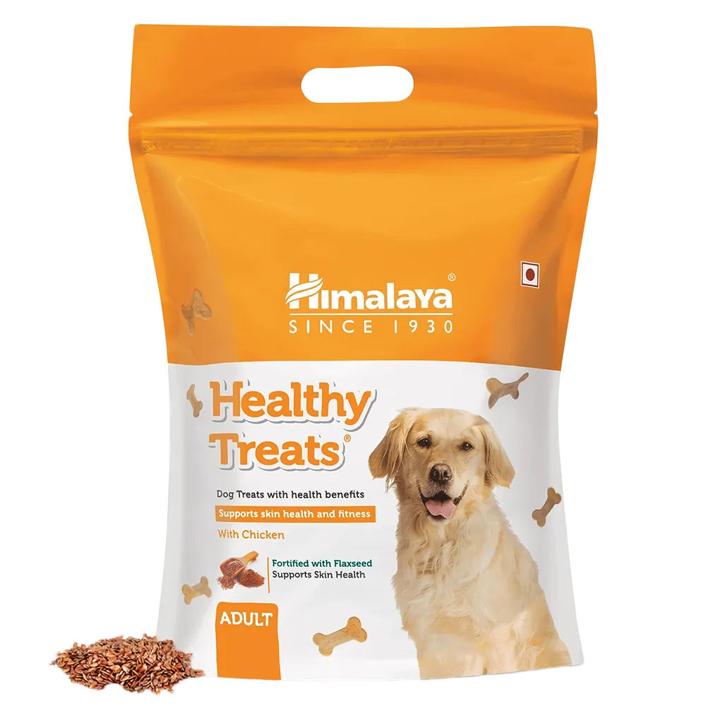 adult-dog-treats-chicken-flavour-nepal-1