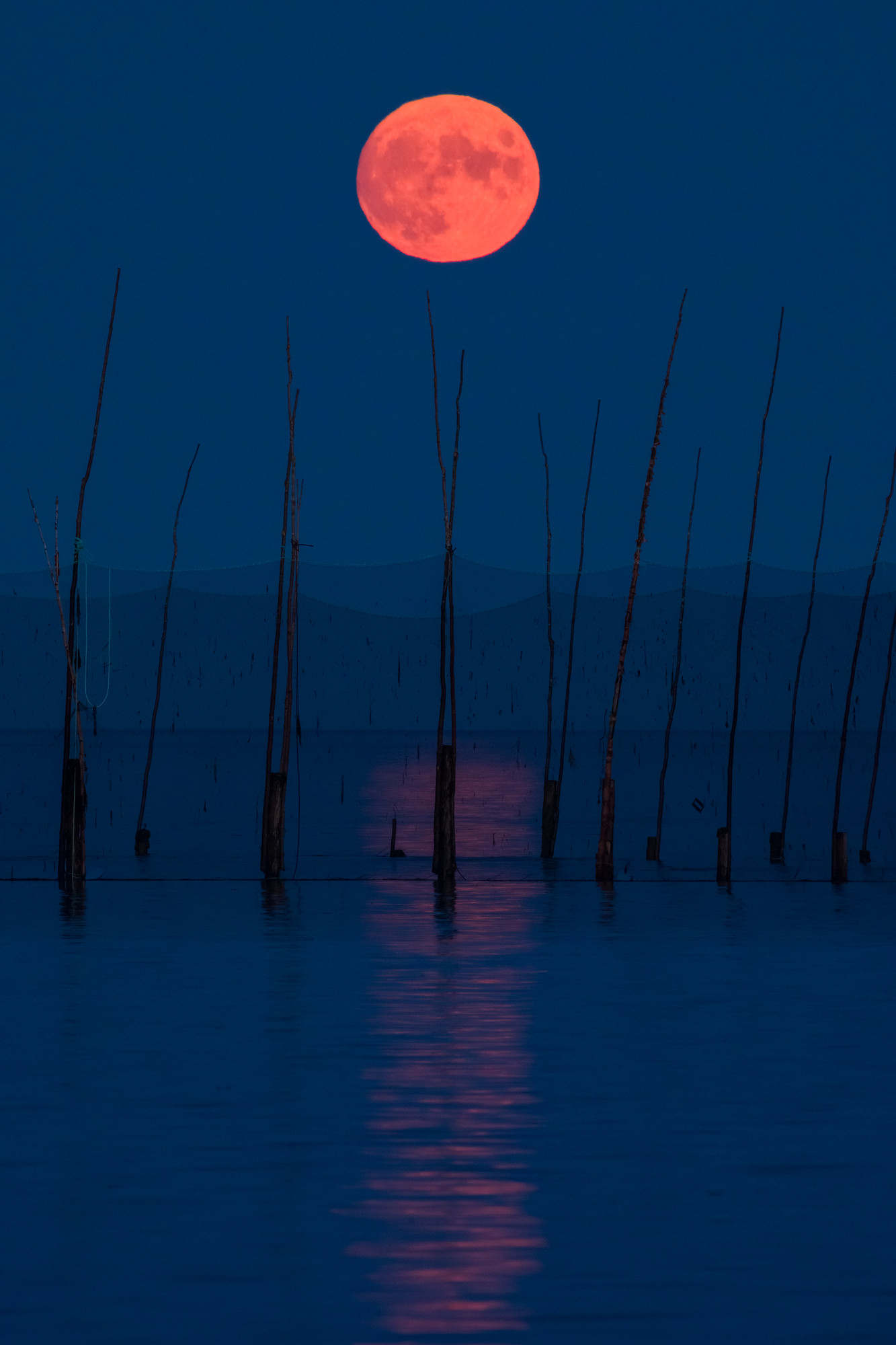 Harvest Moon Over Weir