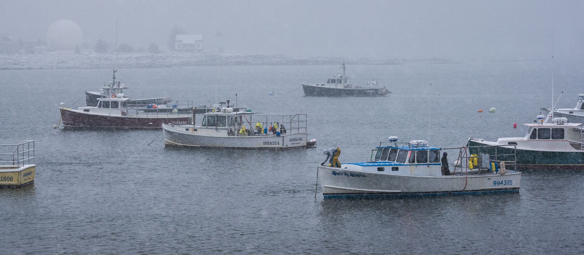 Snowstorm in Prospect Harbor
