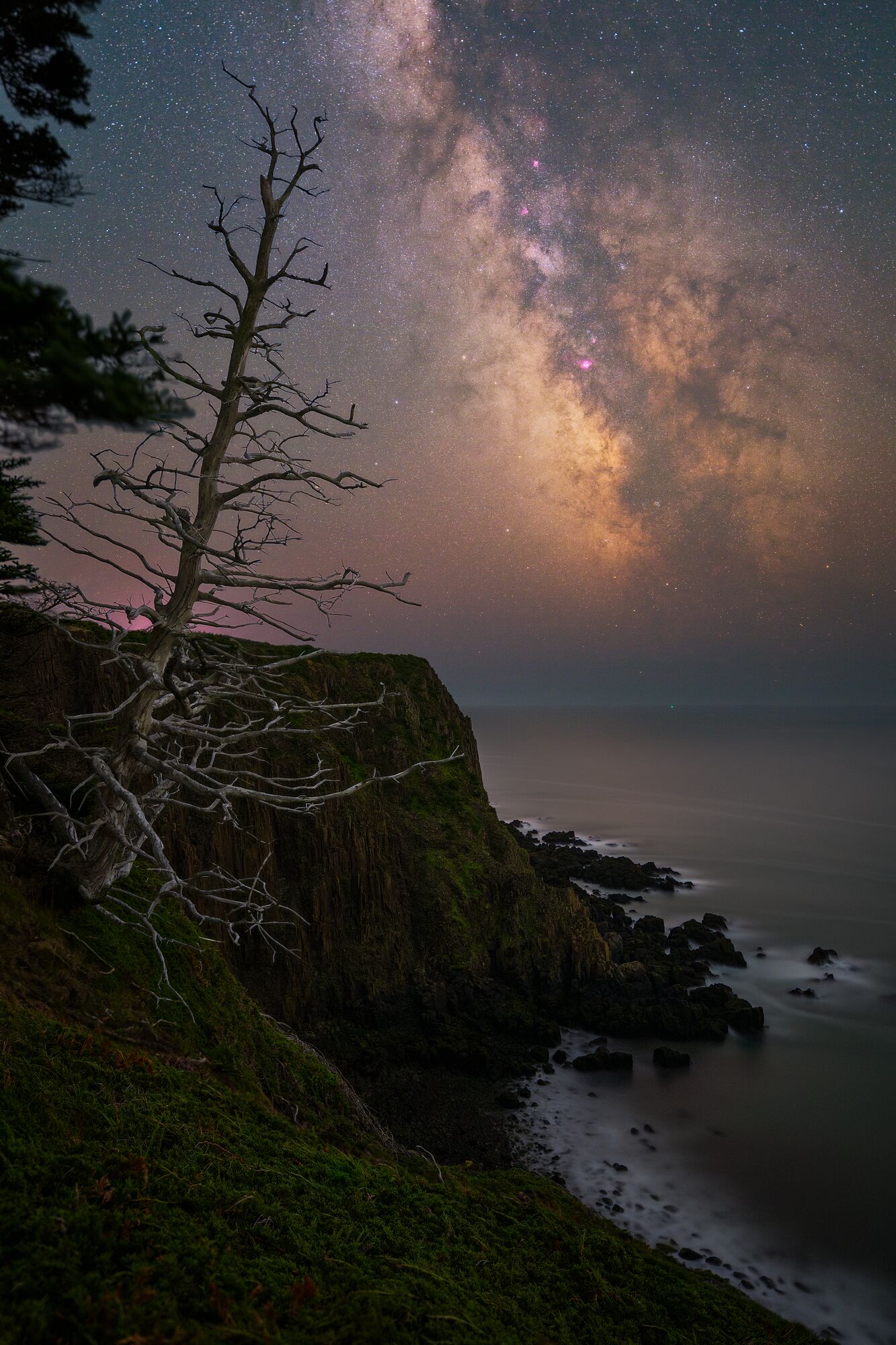 Milky Way Over Cliffs of Grand Manan Island