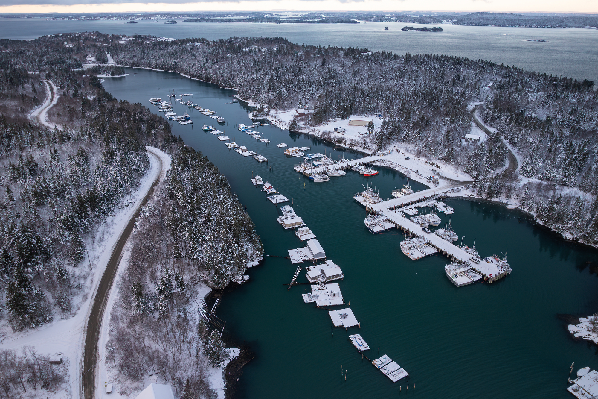 Winter at Head Harbour