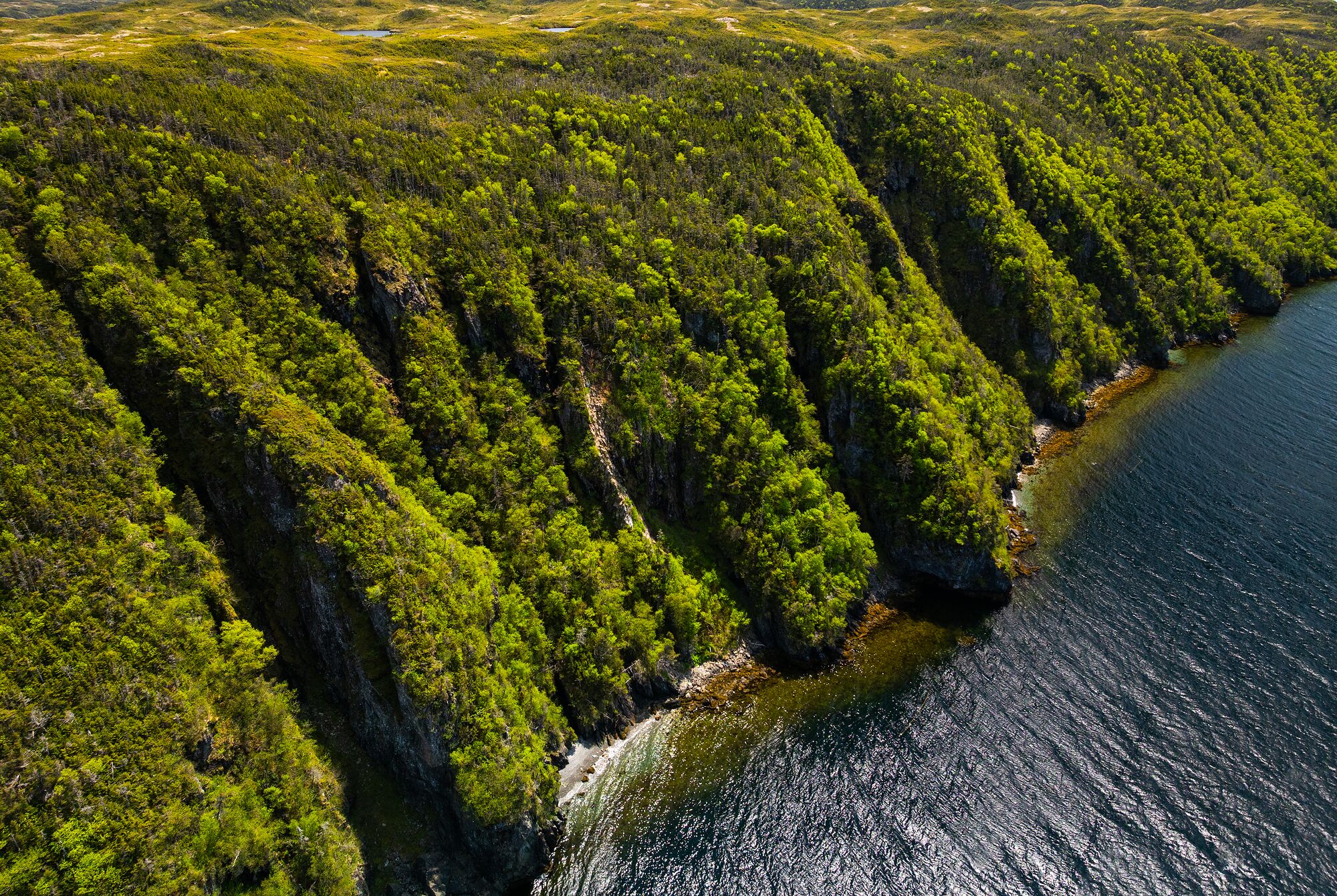 Summer Green Cliffs in Newfoundland