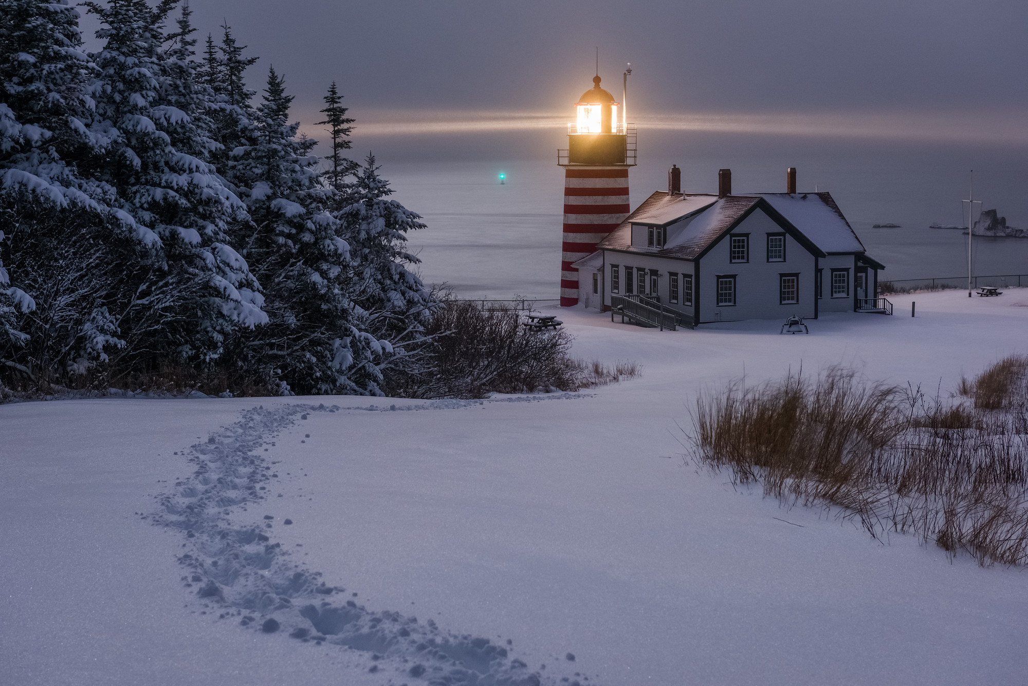 Snowy Quoddy